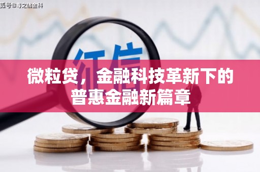 青阳微粒贷，金融科技革新下的普惠金融新篇章