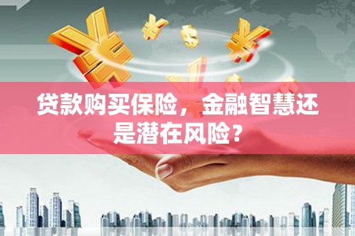 青阳贷款购买保险，金融智慧还是潜在风险？