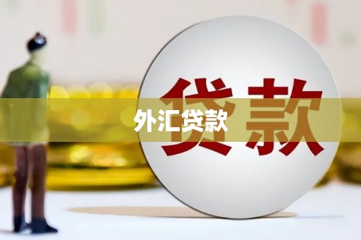 青阳外汇贷款