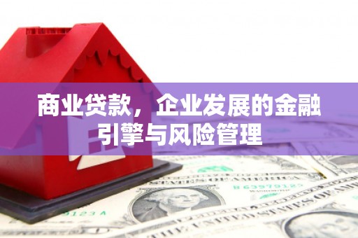 青阳商业贷款，企业发展的金融引擎与风险管理