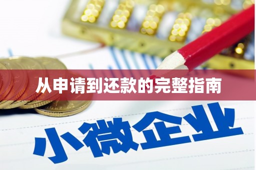 青阳从申请到还款的完整指南