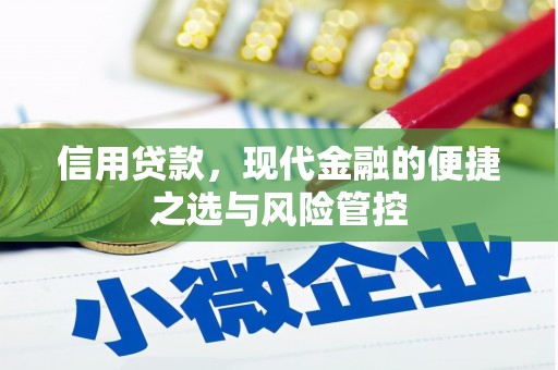 青阳信用贷款，现代金融的便捷之选与风险管控