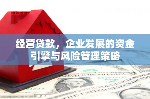 青阳经营贷款，企业发展的资金引擎与风险管理策略