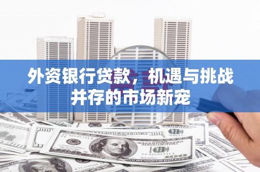 青阳外资银行贷款，机遇与挑战并存的市场新宠