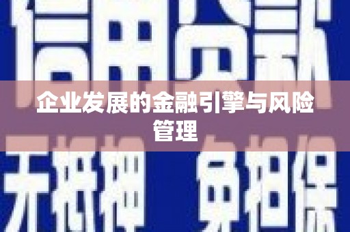 青阳企业发展的金融引擎与风险管理