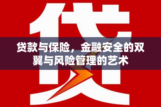 青阳贷款与保险，金融安全的双翼与风险管理的艺术