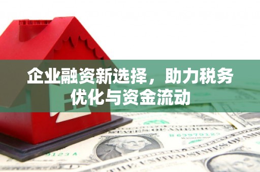 青阳企业融资新选择，助力税务优化与资金流动