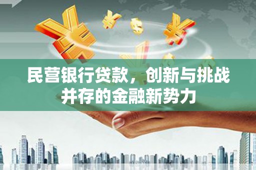 青阳民营银行贷款，创新与挑战并存的金融新势力