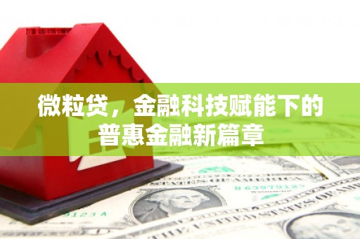 青阳微粒贷，金融科技赋能下的普惠金融新篇章