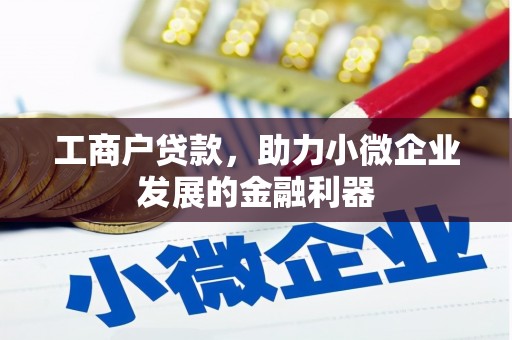 青阳工商户贷款，助力小微企业发展的金融利器