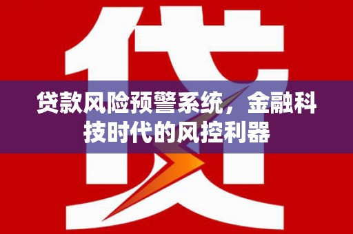 青阳贷款风险预警系统，金融科技时代的风控利器