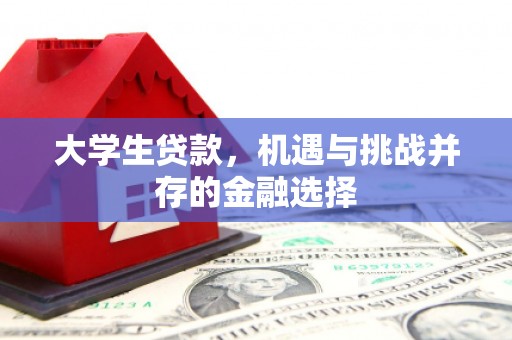 青阳大学生贷款，机遇与挑战并存的金融选择