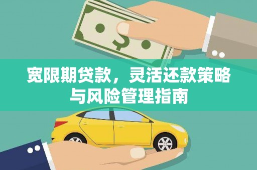 青阳宽限期贷款，灵活还款策略与风险管理指南