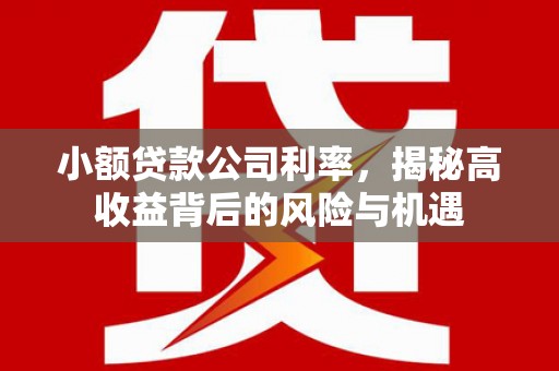 青阳小额贷款公司利率，揭秘高收益背后的风险与机遇