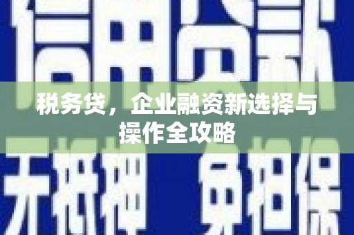 青阳税务贷，企业融资新选择与操作全攻略