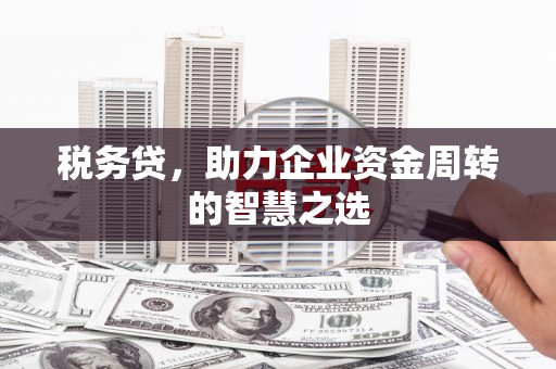 青阳税务贷，助力企业资金周转的智慧之选