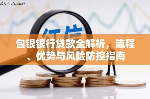 青阳包银银行贷款全解析，流程、优势与风险防控指南