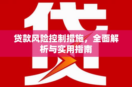 青阳贷款风险控制措施，全面解析与实用指南