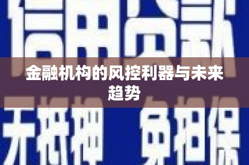 青阳金融机构的风控利器与未来趋势