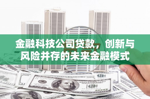 青阳金融科技公司贷款，创新与风险并存的未来金融模式