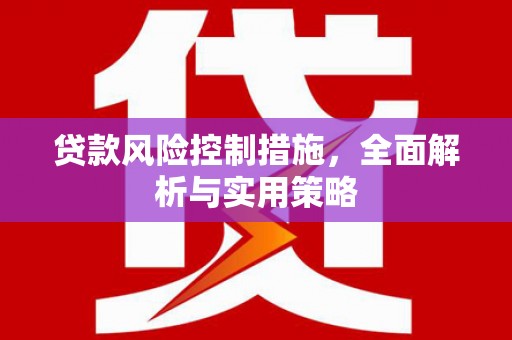 青阳贷款风险控制措施，全面解析与实用策略