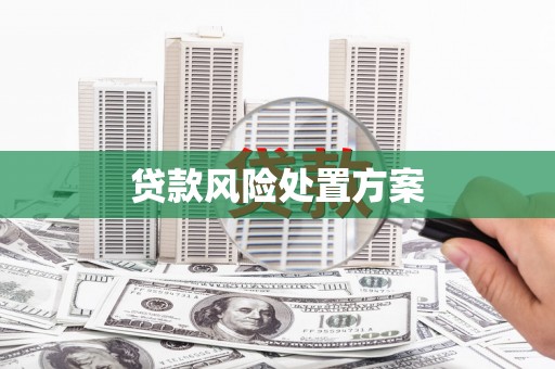 青阳贷款风险处置方案