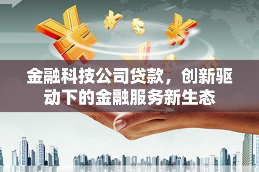 青阳金融科技公司贷款，创新驱动下的金融服务新生态
