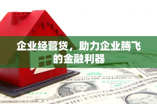 青阳企业经营贷，助力企业腾飞的金融利器