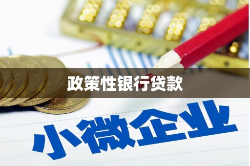 青阳政策性银行贷款