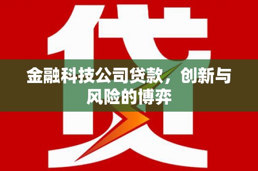 青阳金融科技公司贷款，创新与风险的博弈