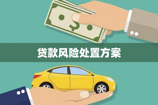 青阳贷款风险处置方案