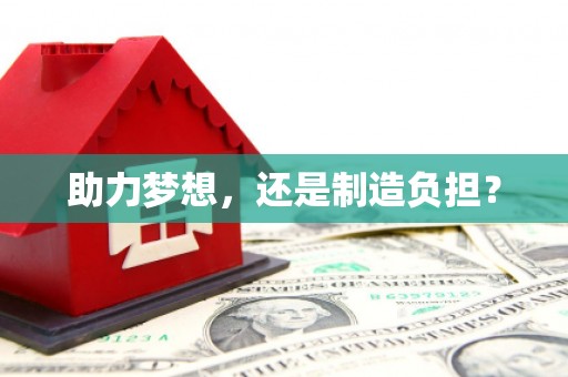 青阳助力梦想，还是制造负担？