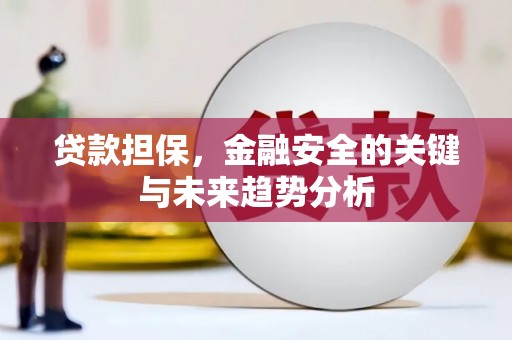 青阳贷款担保，金融安全的关键与未来趋势分析