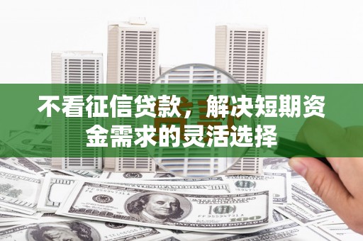 青阳不看征信贷款，解决短期资金需求的灵活选择