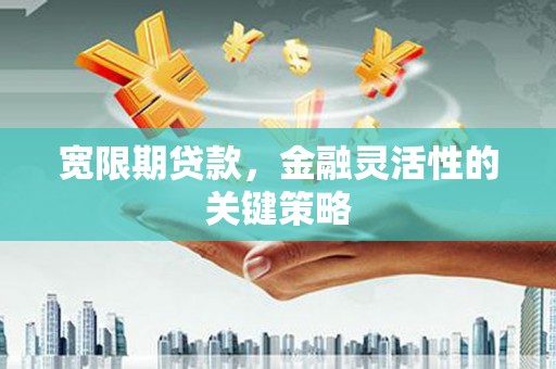 青阳宽限期贷款，金融灵活性的关键策略