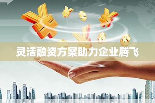 青阳灵活融资方案助力企业腾飞