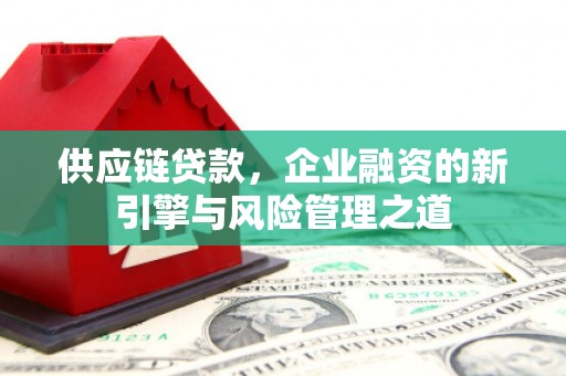 青阳供应链贷款，企业融资的新引擎与风险管理之道
