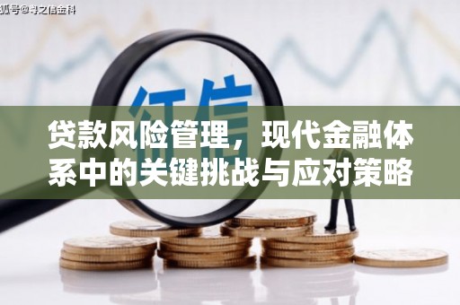 青阳贷款风险管理，现代金融体系中的关键挑战与应对策略