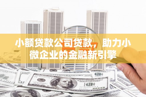 青阳小额贷款公司贷款，助力小微企业的金融新引擎