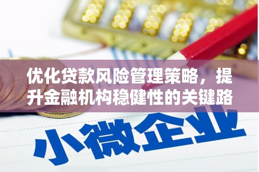 青阳优化贷款风险管理策略，提升金融机构稳健性的关键路径