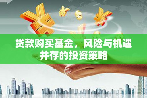 青阳贷款购买基金，风险与机遇并存的投资策略