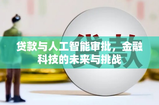 青阳贷款与人工智能审批，金融科技的未来与挑战