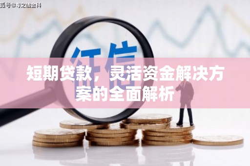青阳短期贷款，灵活资金解决方案的全面解析