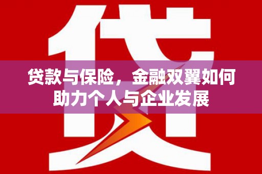 青阳贷款与保险，金融双翼如何助力个人与企业发展