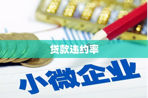 青阳贷款违约率