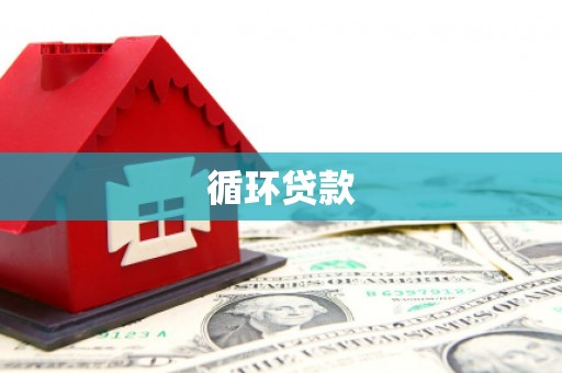 青阳循环贷款