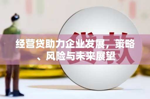 青阳经营贷助力企业发展，策略、风险与未来展望