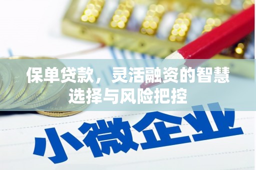 青阳保单贷款，灵活融资的智慧选择与风险把控
