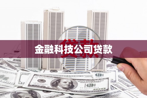 青阳金融科技公司贷款