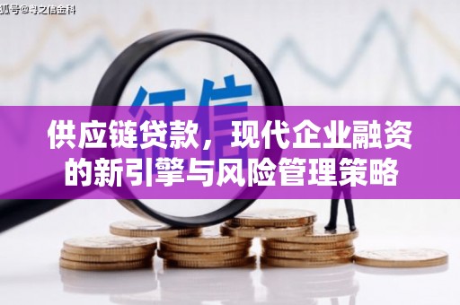 青阳供应链贷款，现代企业融资的新引擎与风险管理策略